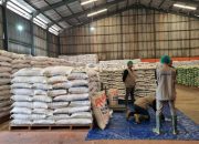SKB Lintas Kementerian Percepat Pembangunan 100 Gudang Bulog Serap Gabah Petani.