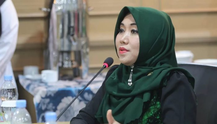 DPD RI Lia Istifhama Serukan Pembaruan Hukum untuk Lindungi Konsumen dari Penipuan Online