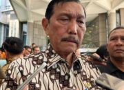 Luhut Buka Suara Soal Izin Bandara IMIP Morowali, Hanya Domestik!