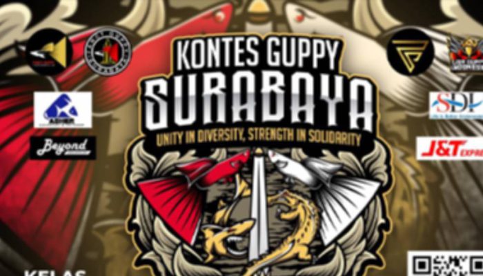 Gelar Kontes Guppy 2026, Surabaya Mantapkan Posisi sebagai Kota Sentra Ikan Hias Nasional