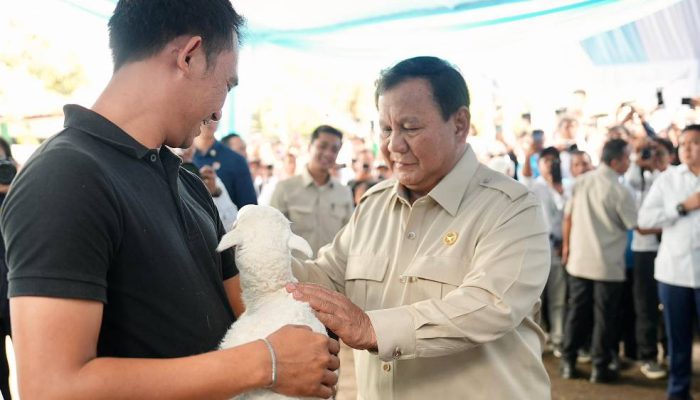 Janji Swasembada Pangan Prabowo Diapresiasi Petani, Dikritik Ekonom