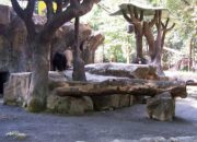 Kasus Dugaan Korupsi KBS Masuk Penyidikan, Kejati Jatim Amankan Berkas dan Perangkat Elektronik