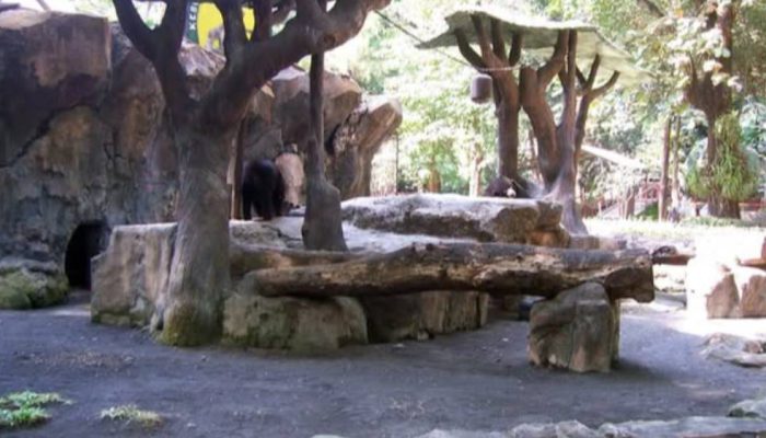 Kasus Dugaan Korupsi KBS Masuk Penyidikan, Kejati Jatim Amankan Berkas dan Perangkat Elektronik