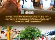 Gubernur Khofifah: Kesiapan Hewan Kurban 1447 H Terjamin, Ternak Sehat dan Berkualitas