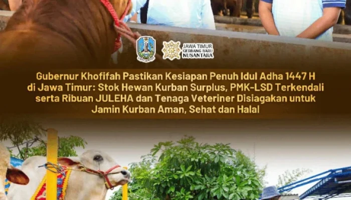 Gubernur Khofifah: Kesiapan Hewan Kurban 1447 H Terjamin, Ternak Sehat dan Berkualitas