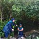 TPS Hijaukan Pesisir Surabaya Lewat Penanaman Ribuan Mangrove di Sontoh Laut