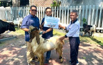 Program Pelindo Berbagi Kurban, TTL Jangkau Masjid hingga Pondok Pesantren