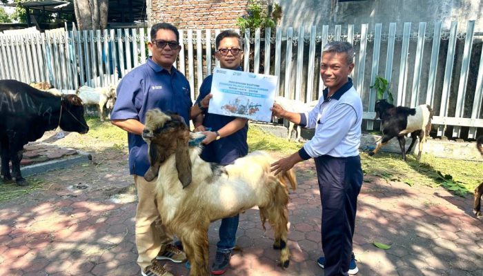 Program Pelindo Berbagi Kurban, TTL Jangkau Masjid hingga Pondok Pesantren
