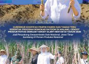 Gubernur Jatim Pimpin Program Bongkar Ratoon di Malang, Optimistis Swasembada Gula Nasional Tercapai