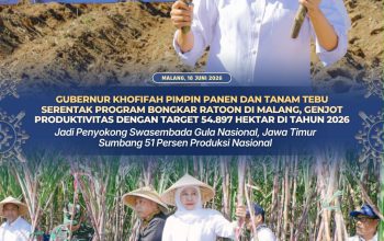 Gubernur Jatim Pimpin Program Bongkar Ratoon di Malang, Optimistis Swasembada Gula Nasional Tercapai