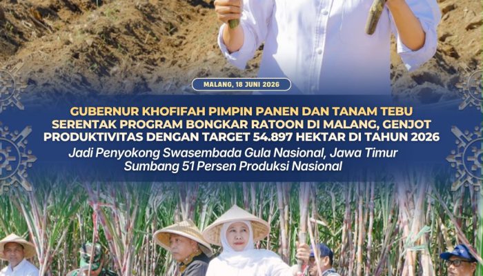 Gubernur Jatim Pimpin Program Bongkar Ratoon di Malang, Optimistis Swasembada Gula Nasional Tercapai