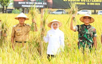 Luas Panen dan Produksi Padi Jatim Meningkat, Gubernur Khofifah : Ketahanan Pangan Nasional Kian Kuat