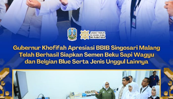 Gubernur Khofifah Optimistis Swasembada Daging Bisa Tercapai dalam Tiga Tahun Berkat BBIB Singosari
