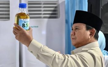 Prabowo: Pegunungan Papua Berpotensi Menjadi Lokasi Cadangan Emas Terbesar, BRIN Lakukan Eksplorasi