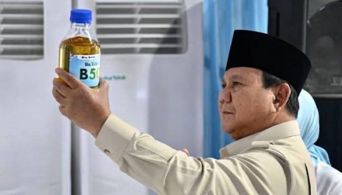 Prabowo: Pegunungan Papua Berpotensi Menjadi Lokasi Cadangan Emas Terbesar, BRIN Lakukan Eksplorasi