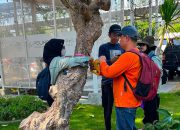BRIN dan Terminal Teluk Lamong Petakan Vegetasi hingga Kesehatan Mangrove