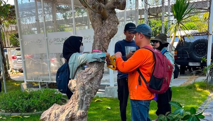 BRIN dan Terminal Teluk Lamong Petakan Vegetasi hingga Kesehatan Mangrove
